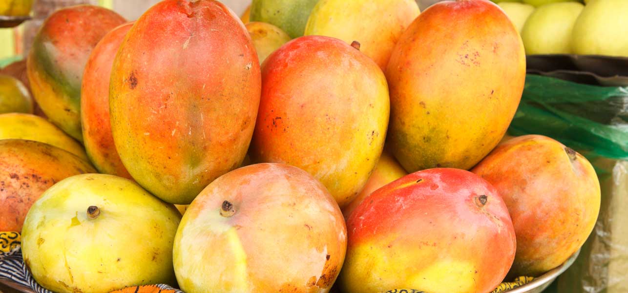 african-mango personne particulier